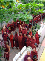 Feeding time at the monastery, Mandalay, Myanmar