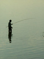 Fisherman, Amarapura, Myanmar