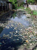 River strewn with rubbish, Nyaungswhe, Myanmar