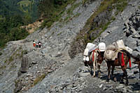 Landslide near Birethanti