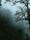 View through the mist climbing up to Golden Rock stupa, Kyaiktiyo, Myanmar